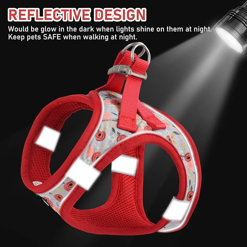 Fujian Dog Harness Collar Leash Set Reflective Step In