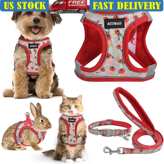 Fujian Dog Harness Collar Leash Set Reflective Step In