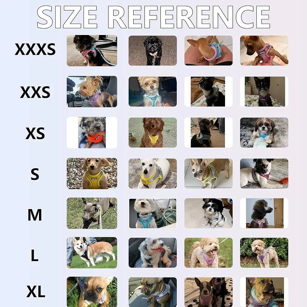 Fujian Step In Dog Harness Leash Set No Pull Escape Proof Soft Mesh Vest Reflective Bands