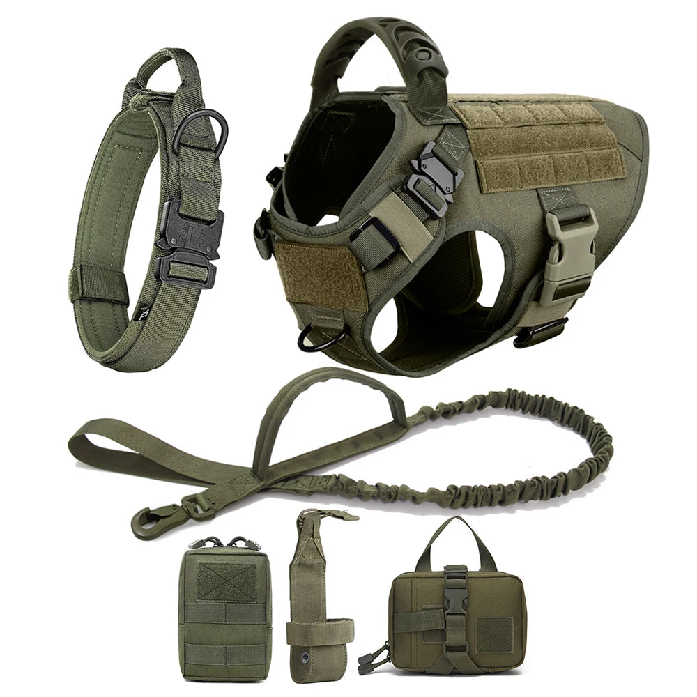 Petravelcn Dog Harness And Leash Set Vest For Training