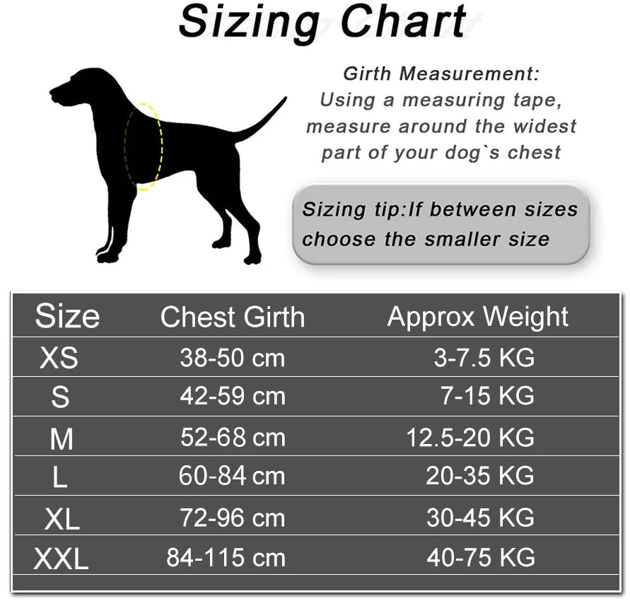 NoyalCN Personalized No Pull Reflective Breathable Dog Harness Vest OutdoorAdventures