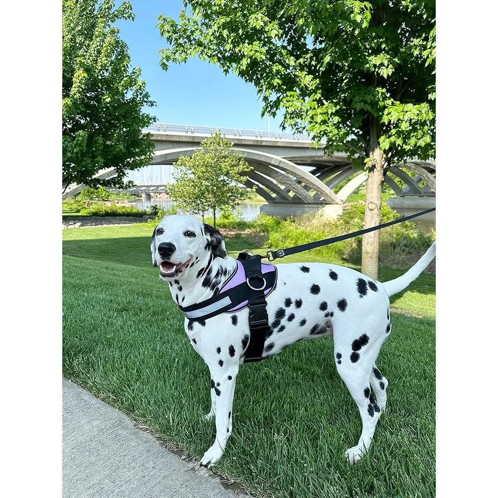 Fujian No Pull Dog Harness Reflective Vest With Leash Clips