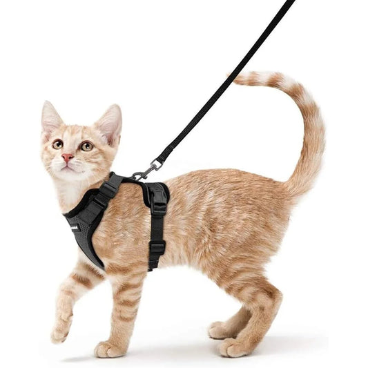 Fujian Escape Proof Cat Harness And Leash Breathable Vest