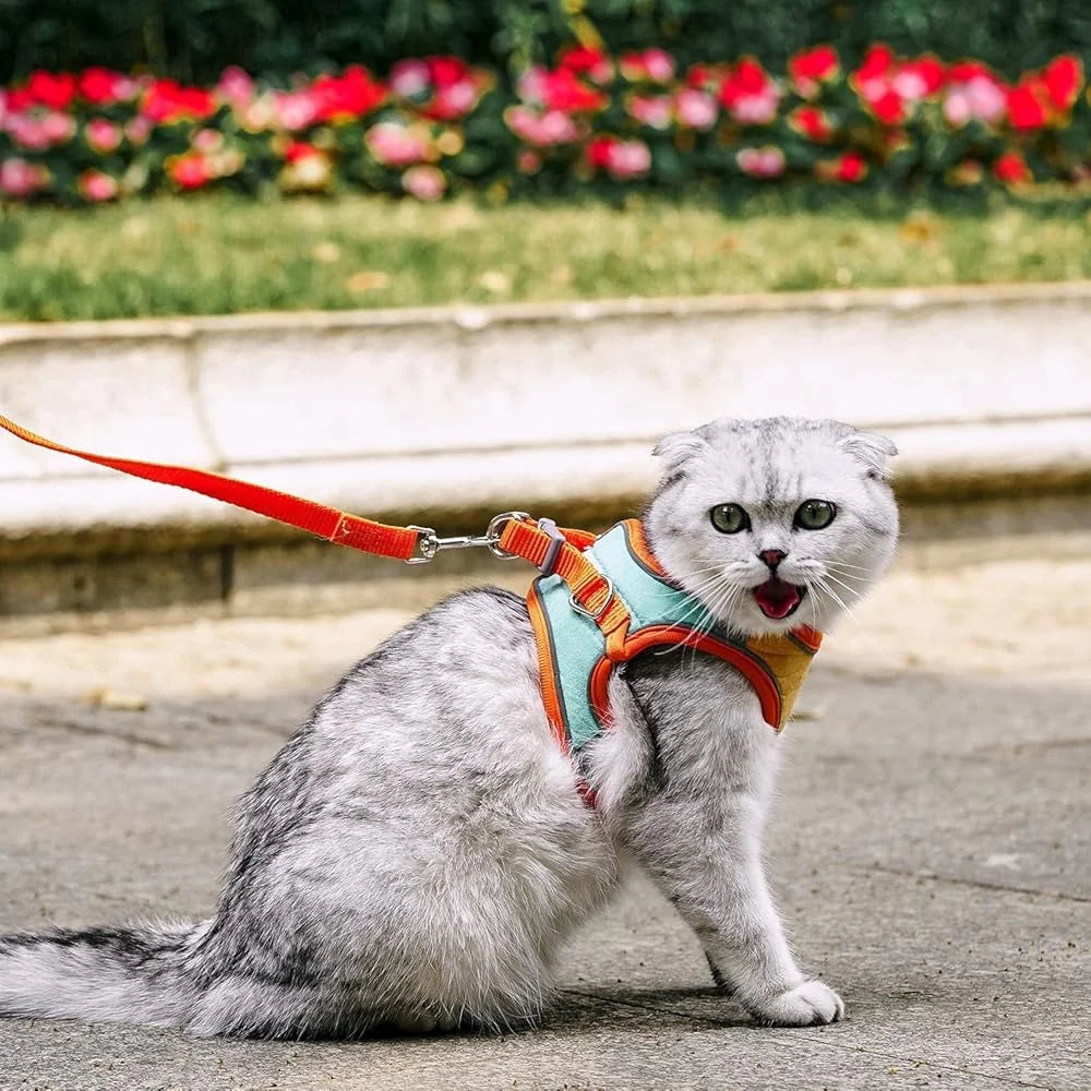 DUTRIEUX Escape Proof Cat Harness Leash Collar Set Reflective Vest For Safe Walking