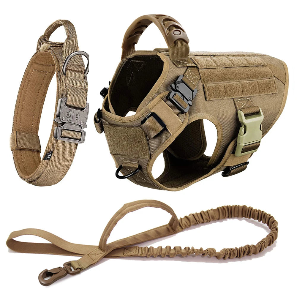 Petravelcn Dog Harness And Leash Set Vest For Training