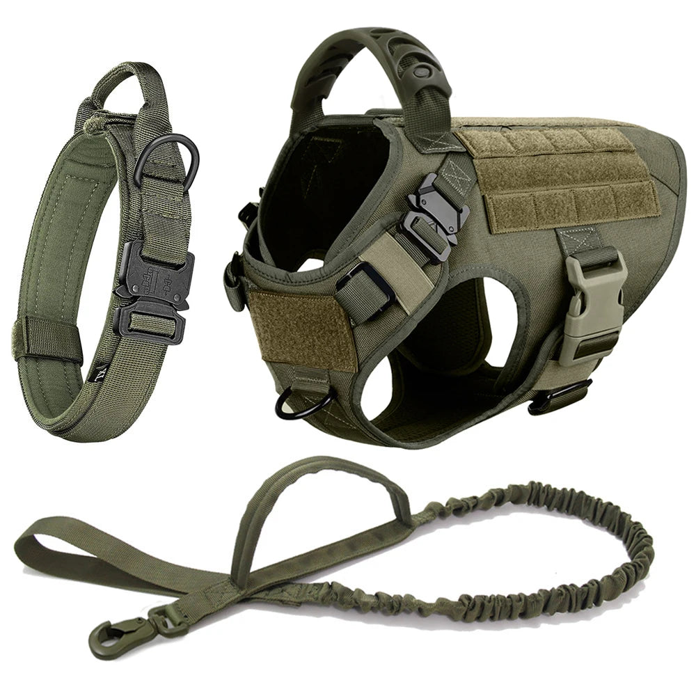 Petravelcn Dog Harness And Leash Set Vest For Training